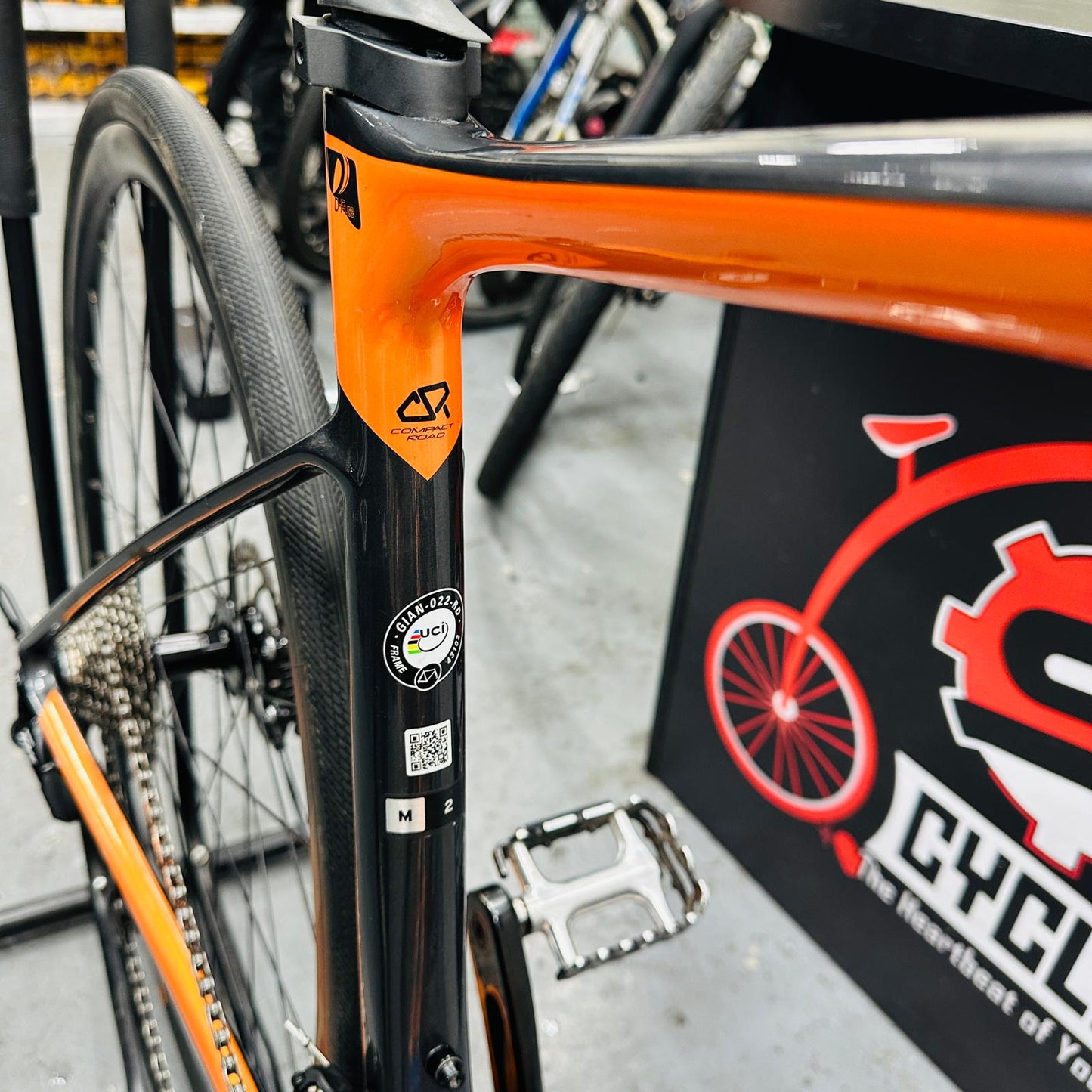 Giant Defy Advanced 2 Carbon Road Bike -2020 (Grey)